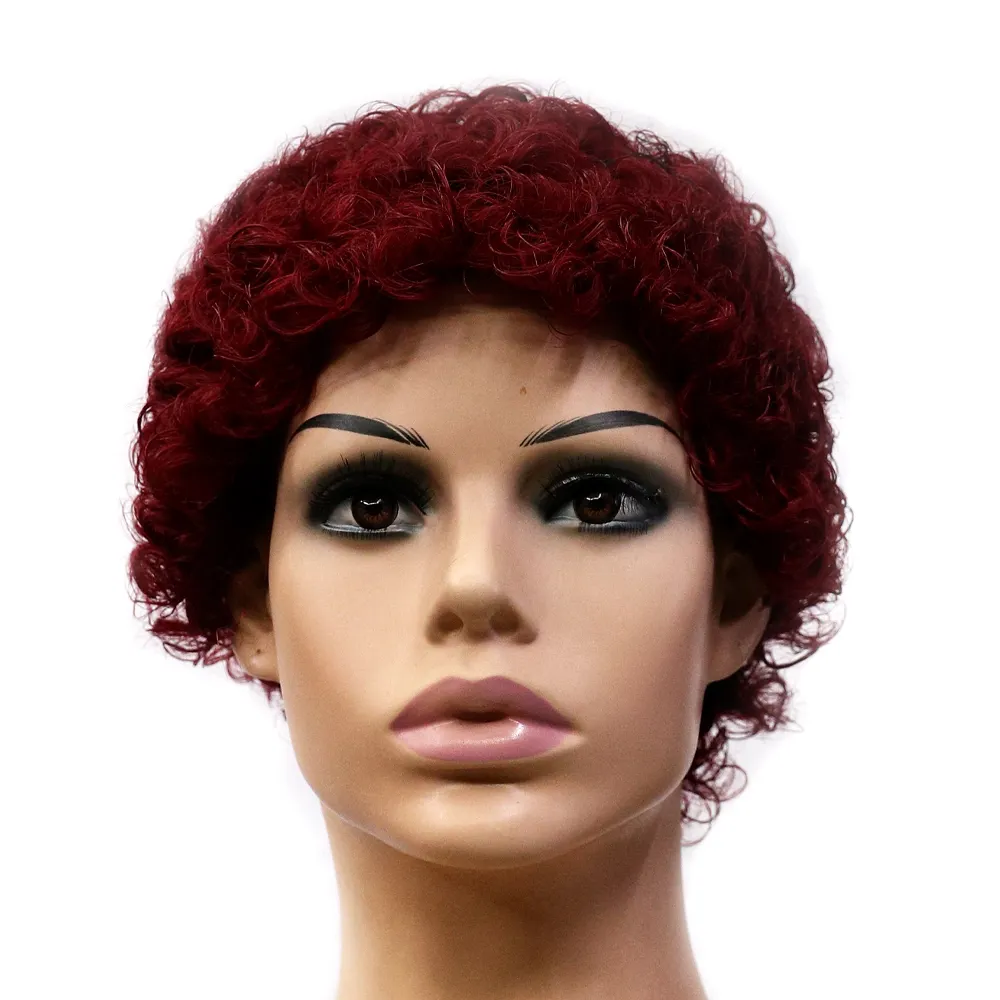 Afro Wig Rambut Manusia 100% Alami Asli Manusia Wig Renda Penuh Rambut Brasil untuk Hitam Wanita Rambut Manusia Renda Depan