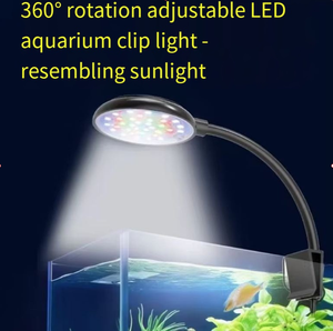 Lampada LED per Acquario Personalizzata OEM ODM, Interfaccia USB 3W, Cambio Colore e Dimmerabile, Luce WRGB per Piccoli Acquari - Product Image 1