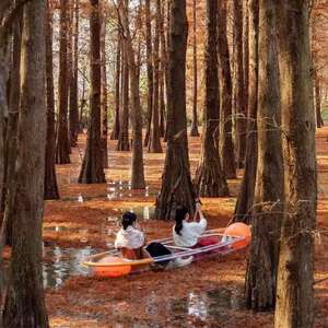 Wojin 11ft Kayak 2 personnes Double siège vente en gros Touring Clear Crystal Kayaks Transparent Kayak de pêche à vendre - Product Image 6