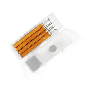 Juego de cuchillos para tallar hojas SK2 bien formadas de 5 uds con caja de plástico - Product Image 4