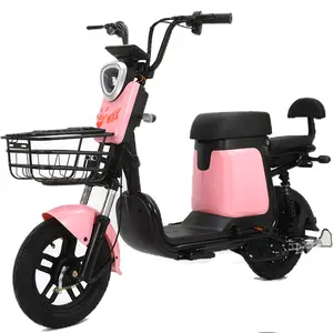 14inch Fashion Double Electric Bicycle Factory Direct Sales Electric Scooter 48V 350W Power Electric City Bike