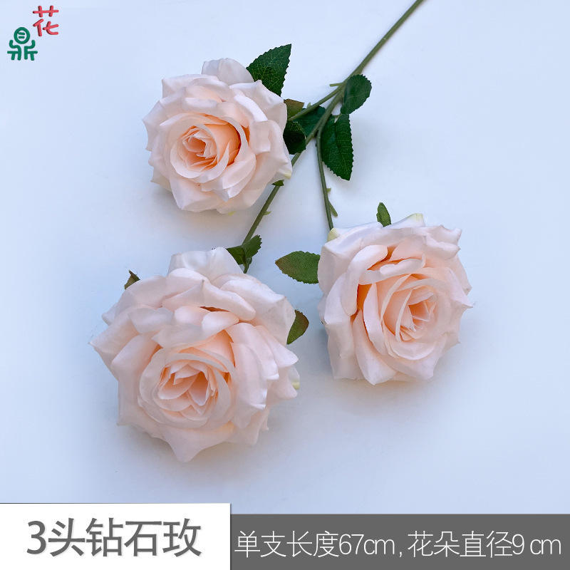 3เพชรกุหลาบแสงแชมเปญ hyd