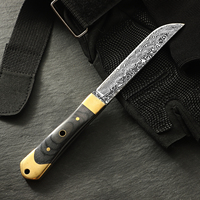Couteau de survie à lame fixe en acier 5Cr15 à motif Damas avec manche en bois coloré, logo personnalisé OEM/ODM