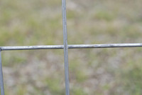 Panneaux de clôture robustes de 16 pieds pour bétail et porcs, galvanisés calibre 4, pour ferme et ranch