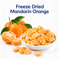 Segment de mandarine entière lyophilisée croustillante en gros – Mandarines FD naturelles – Fruits d'agrumes séchés sains