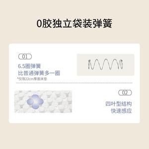 <b>Mattress</b> With Dual Core Memory Foam And Bio Blue Pad 2cm Each Orthopedic <b>Support</b> For Back Care - Product Image 2