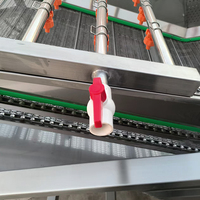 YouBan Factory OEM SUS304 Automatische fruit- en groentewasmachine met ozon & hogedruksproeier