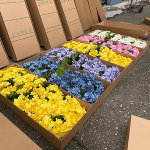 Flores de Hortensia Artificiales al por Mayor de Fábrica, Hortensias de Látex para Decoración de Bodas y Hoteles - Product Image 3