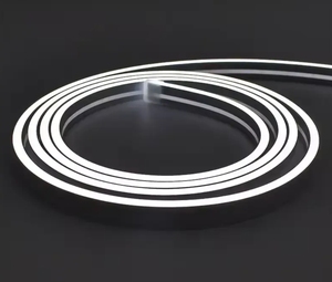 Maxto Silicon Led Neon Cuerda Luz Inteligente 12V 24V Neon Flex Impermeable <span class=keywords><strong>Topview</strong></span> Lateral Color Pvc Ip68 Led Flexible Neon Light - Product Image 6