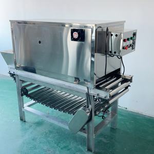 Machine à éplucher les oignons secs à chaîne de 500 kg - Product Image 2