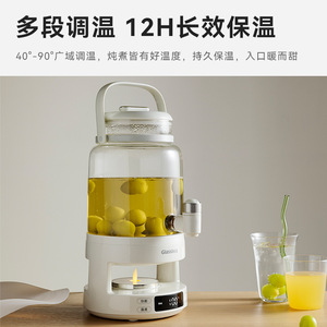 Glasslock Electric Kettle 2.8L Thermostatic Heating Home Brewing <b>Tea</b> Wine <b>Maker</b> - Product Image 5