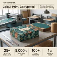 Boîte d'expédition en carton ondulé personnalisée pour l'emballage alimentaire, impression couleur, fermeture auto-adhésive, vente en gros, fabrication OEM