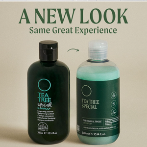 Champú especial <span class=keywords><strong>de</strong></span> árbol <span class=keywords><strong>de</strong></span> té, limpia profundamente, refresca el cuero cabelludo, para todo tipo <span class=keywords><strong>de</strong></span> cabello, especialmente cabello graso - Product Image 2