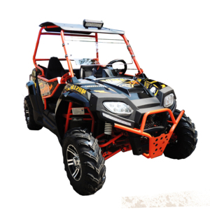 Mini cuatrimotor <span class=keywords><strong>2</strong></span> plazas buggy 250cc 4 ruedas adultos calle legal UTV - Product Image 2