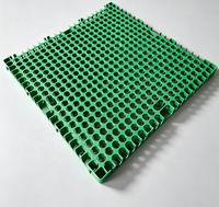 Panneaux de drainage en géocomposite pour gazon synthétique, gazon artificiel sous le terrain de football, Sport Avenue