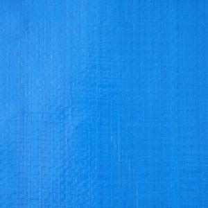 Bâche en PE <span class=keywords><strong>de</strong></span> qualité commerciale, résistante, imperméable, avec bords renforcés pour les échafaudages <span class=keywords><strong>de</strong></span> construction - Product Image 6