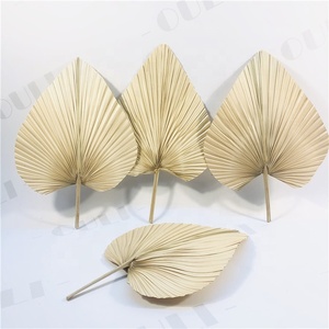 Q-1063 Naturel Séchées Feuilles De <span class=keywords><strong>Palmier</strong></span> Ventilateur Fleur pour La Maison Décoration - Product Image 6