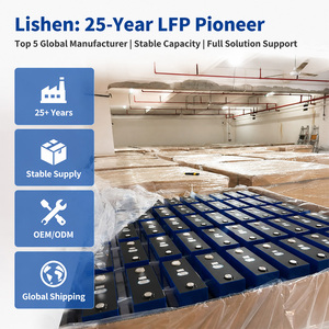 Batería Prismática LiFePO4 Lishen <span class=keywords><strong>de</strong></span> 314 Ah con Certificación ESI, IEC62619, UN383, Ciclo Profundo, 3.2V, Recargable, Solución Energética para el Hogar - Product Image 5