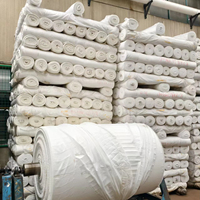 Tissu Brocart Direct Usine 100% Polyester Anti-Plis Anti-Bouloches Résistant à l'Abrasion Jacquard Tissé 100GSM Poids Moyen pour Vêtements