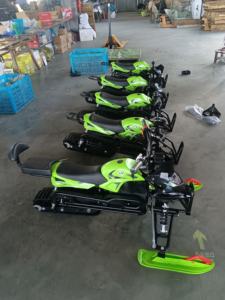 QIQU Business Investment Grade Model Location commerciale pour adultes et enfants 1000W Motoneige électrique 2 places - Product Image 2