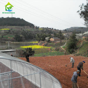 Invernadero de túnel agrícola, invernadero de <span class=keywords><strong>caracol</strong></span>, comercial, Ghana - Product Image 3