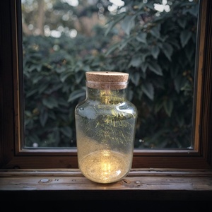 Không dây LED Đèn Sáng Tạo LED ánh sáng nút chai pin Hộp văn phòng microlandscape tăng trưởng thực vật ánh sáng bình trang trí ánh sáng - Product Image 6