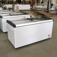 Congélateur commercial avec porte vitrée Low-e, congélateur vertical 500L, réfrigérateur à porte coulissante, congélateur vitrine pour aliments surgelés