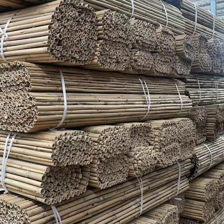 Сухие прямые сельскохозяйственные необработанные бамбуковые палки, производство для садовых растений tonkin, Бамбуковая трость