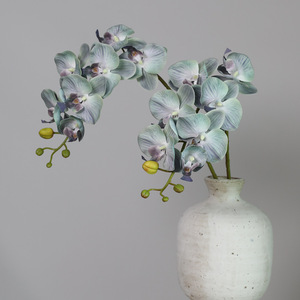 Bán Buôn Cao Su Hoa Lan Bất Cảm Ứng Lớn Hoa Lan Phalaenopsis Nhân Tạo Thực Tế Bướm Hoa Lan Cho Đám Cưới Trang Trí Nội Thất - Product Image 4