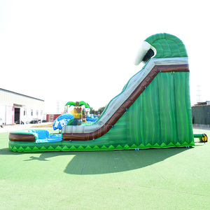 Trượt Nước Hai Làn Thương Mại 20 Ft Với Bể Bơi Lớn Trượt Nước Bơm Hơi Màu Xanh Lá Cây Cho Người Lớn - Product Image 3