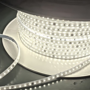 Bán buôn AC220V <span class=keywords><strong>LED</strong></span> <span class=keywords><strong>Strip</strong></span> 2835 120LEDs/M 12W 100m IP67 3000K 4000K 6500K trắng không thấm nước linh hoạt <span class=keywords><strong>LED</strong></span> dải ánh sáng cho ngoài trời - Product Image 1