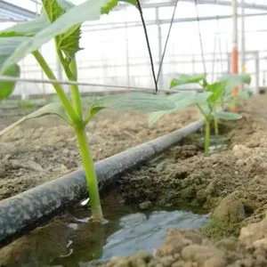 Contrôleur d'irrigation goutte à goutte pour jardin et serre Kit micro pompe goutte à goutte Système d'irrigation goutte à goutte