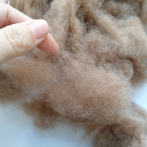 Pelo de camello cardado 100% pelo de color camello con buen precio en oferta - Product Image 5