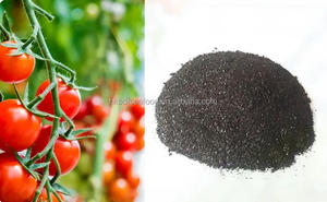 ปุ๋ยอินทรีย์ธรรมชาติละลายน้ำได้100% สาหร่ายสกัดผง/เม็ดอัลจิเนต + สาหร่ายโพลี23% ขึ้น - Product Image 5