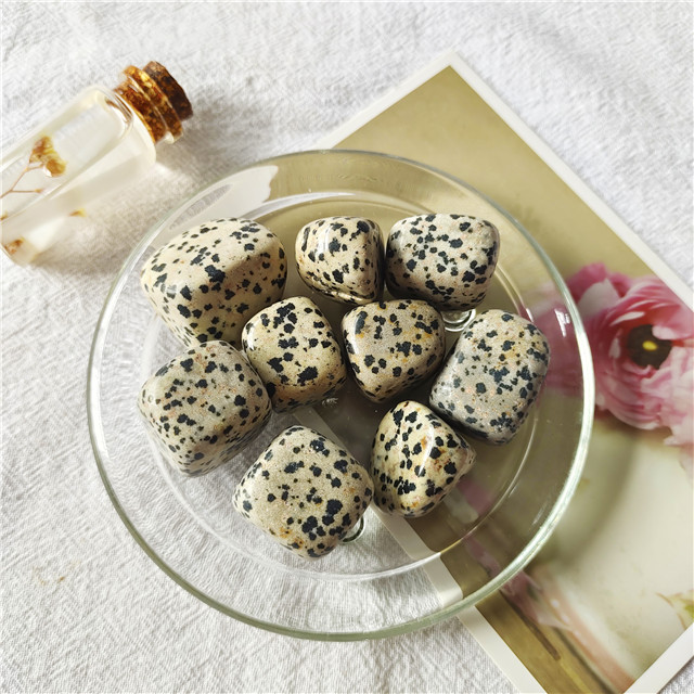 Dalmata
