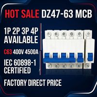 Wanbo-240 ¡Gran Oferta! Interruptor Automático DZ47-63 MCB 1P 2P 3P 4P C63 |   Interruptor Automático en Miniatura 63A 400V IEC 60898-1 Precio de Fábrica