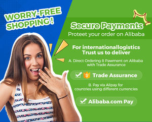 Spedizione gratuita porta a porta veloce e conveniente dalla Cina al Canada/USA/Australia AliExpress Online Air + Express categoria di prodotti - Product Image 4