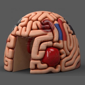 Khổng Lồ Inflatable Organ, Inflatable Não, Inflatable Điêu Khắc - Product Image 3