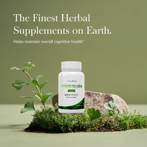 Kapsul <span class=keywords><strong>GinkGo</strong></span> <span class=keywords><strong>Biloba</strong></span> suplemen Herbal standar yang menuntut tinggi dari Tiongkok untuk ekspor dengan harga grosir - Product Image 4