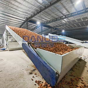 Industrial Ginger Mesh Belt Drying <b>Equipment</b> High Capacity Commercial Use Vegetables Dehydrator Intelligent Continuous Dryer - Product Image 5