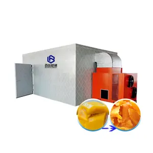 Dried Mango Slices Plant Processing Drying In Oven Equipment Avocado Drying Machine