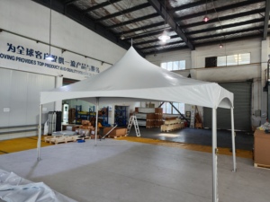 Celina 10x20 đám cưới Lều Nhà cung cấp gia đình lớn sự kiện ngoài trời lớn Trung Quốc Lều Nhà sản xuất marquee gazebo tán triển lãm thương mại lều - Product Image 4