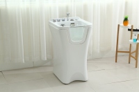 Vente d'usine Moderne 220V Chien Hydrothérapie Bain Égouttoir Autoportant Chien Lavage Dingy Toilettage Machine pour Salle De Bains Utilisation Massage