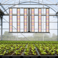 Lampe de culture LED à faible déclenchement de lumière, durée de vie de 30 000 heures, avec moins de 3 % d'atténuation, pour usage commercial en agriculture intérieure