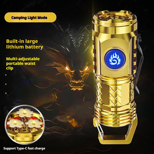 Bán Buôn Tùy Chỉnh 450 Lumens Loại C Có Thể Sạc Lại Nhựa Đèn Pin Thuận Tiện Loại C Có Thể Sạc Lại Đèn Pin - Product Image 2
