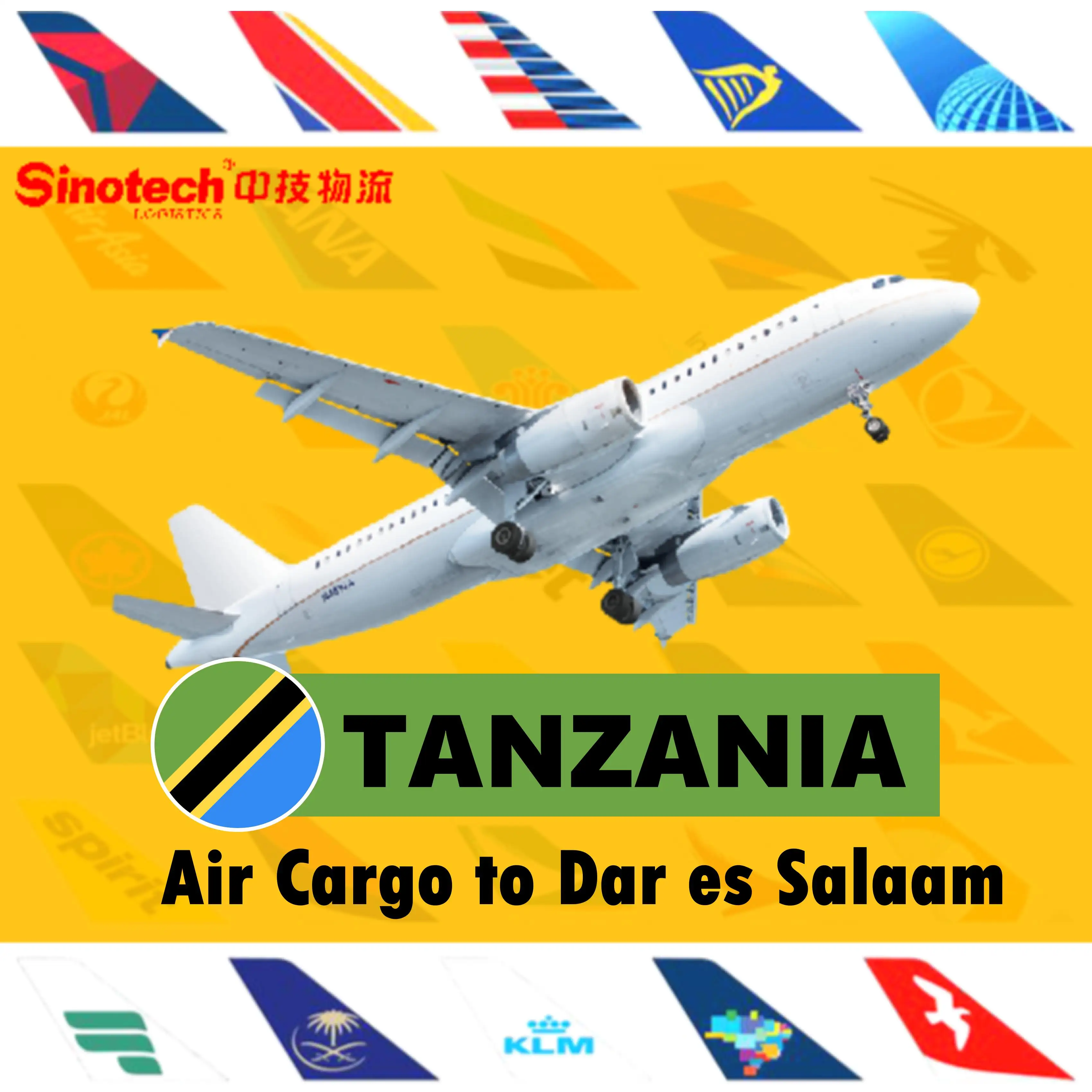 Chine Service Logistique Agent Transitaire De Fret Aérien à L'afrique Dar es-salaam (Tanzanie)
