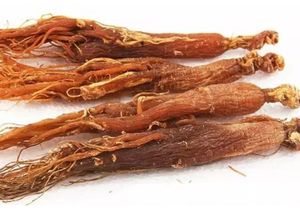 Bột nhân sâm đỏ hữu cơ sản xuất bền vững giàu saponin hoạt động để đáp ứng nhu cầu sức khỏe toàn cầu - Product Image 4