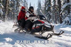 Motoneige à chenilles 700CC <span class=keywords><strong>pour</strong></span> adultes, équipement de divertissement tout-terrain <span class=keywords><strong>pour</strong></span> grandes stations de <span class=keywords><strong>ski</strong></span> - Product Image 5