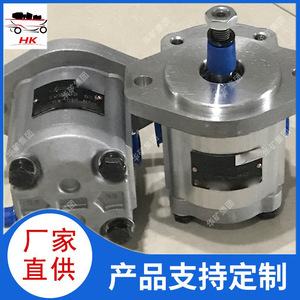 Pompe à palettes haute pression Huakuang YB-Ea315-L à montage par bride, pompe hydraulique minière à débit variable, montage latéral vertical - Product Image 3