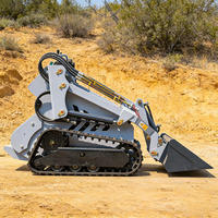 Minicargadora, Cargadora de Orugas, Cargadora de Tractor con Motor CE EPA de Alto Momento de Carga